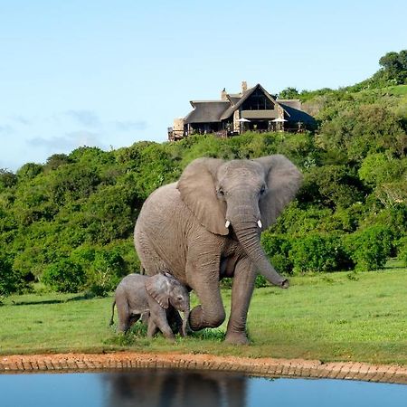 Hopewell Private Game Reserve Buyskloof エクステリア 写真