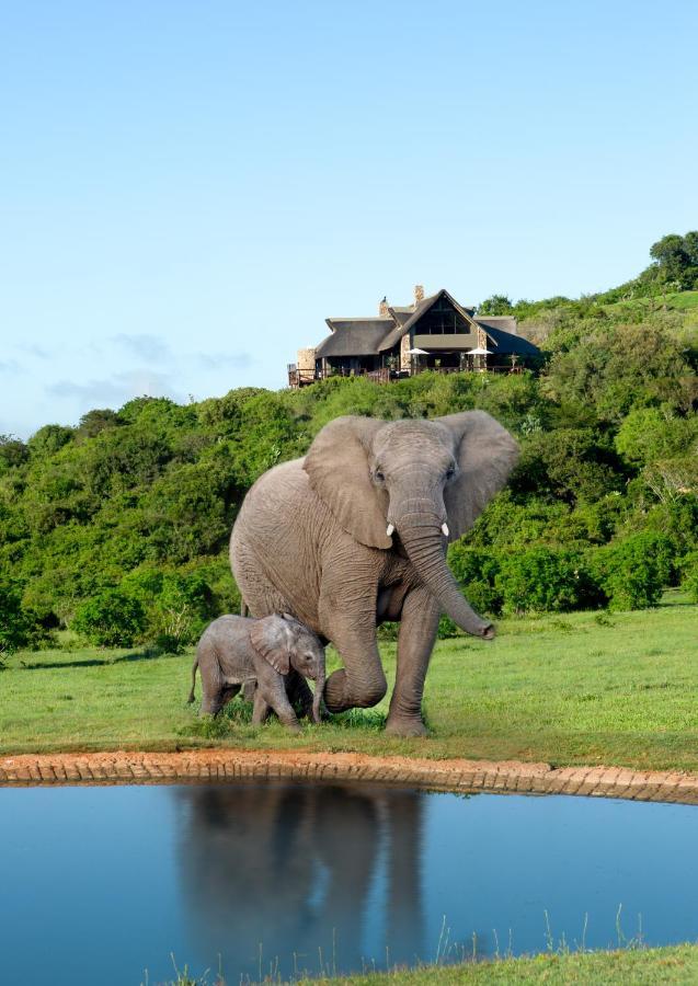Hopewell Private Game Reserve Buyskloof エクステリア 写真