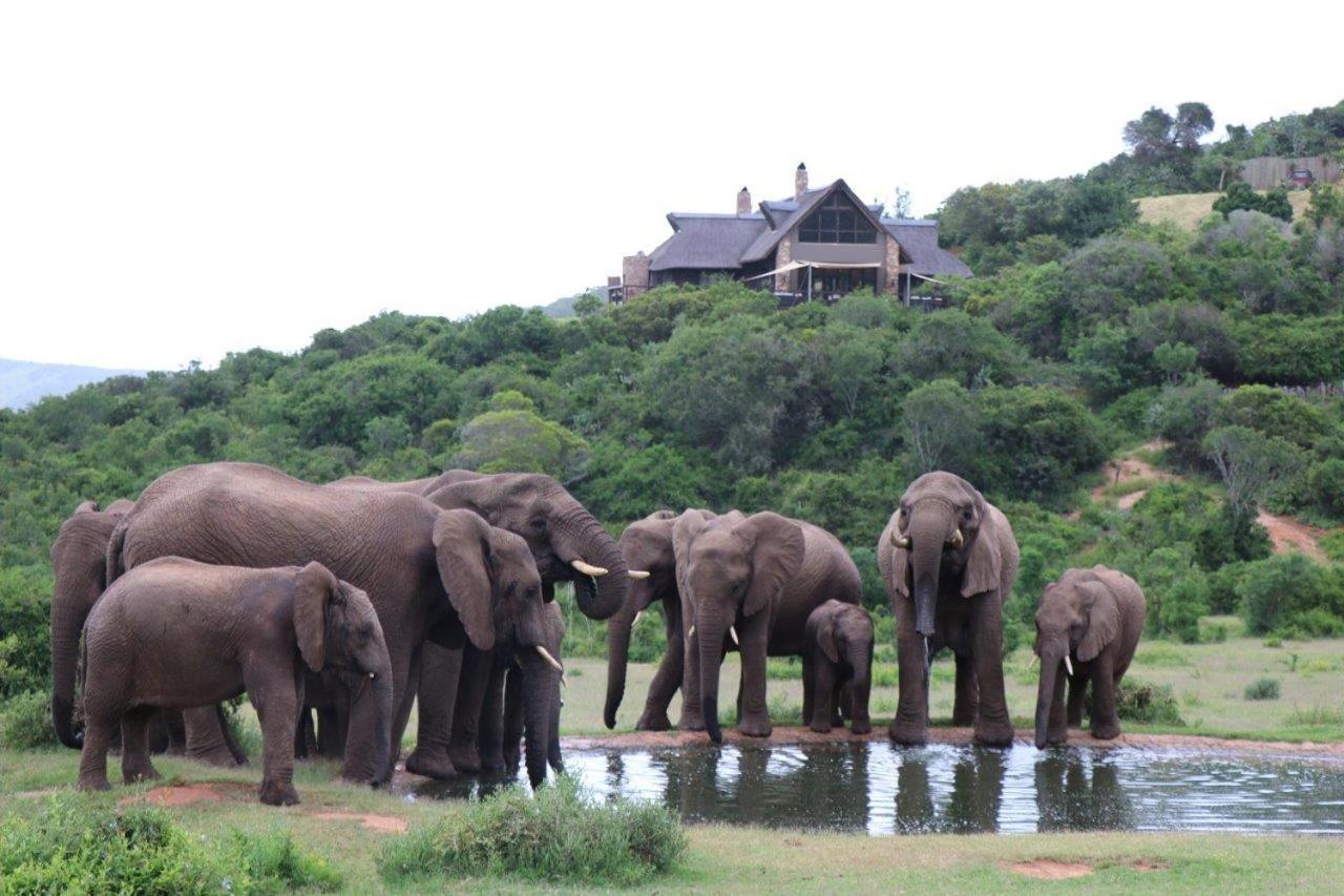 Hopewell Private Game Reserve Buyskloof エクステリア 写真