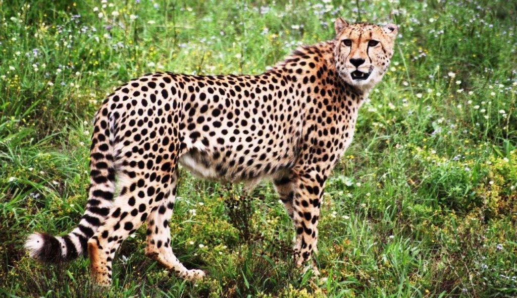 Hopewell Private Game Reserve Buyskloof エクステリア 写真
