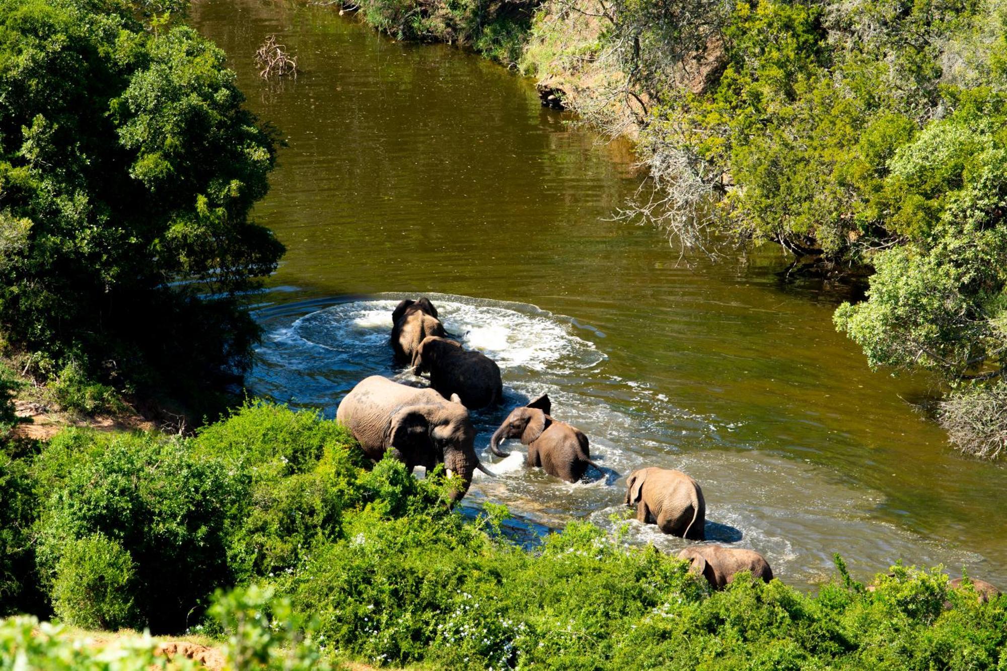 Hopewell Private Game Reserve Buyskloof エクステリア 写真