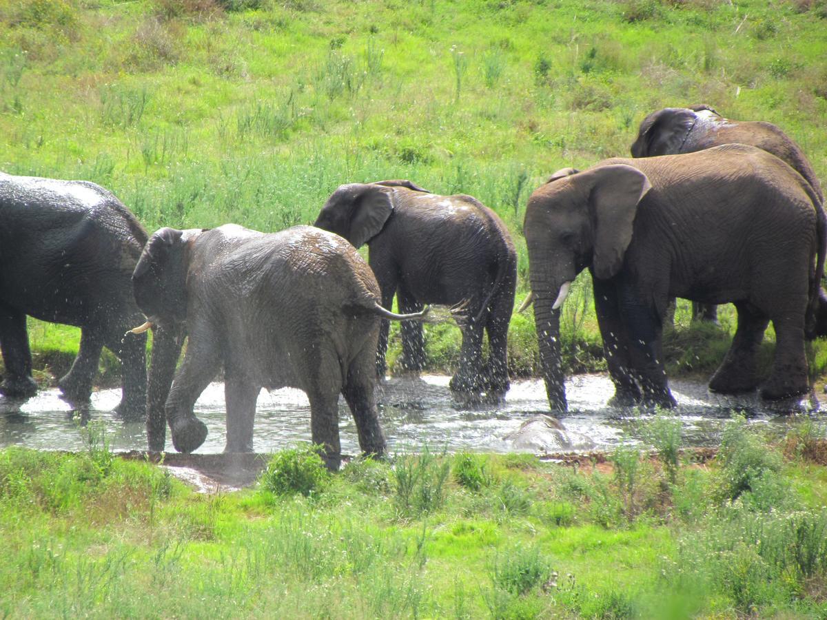 Hopewell Private Game Reserve Buyskloof エクステリア 写真