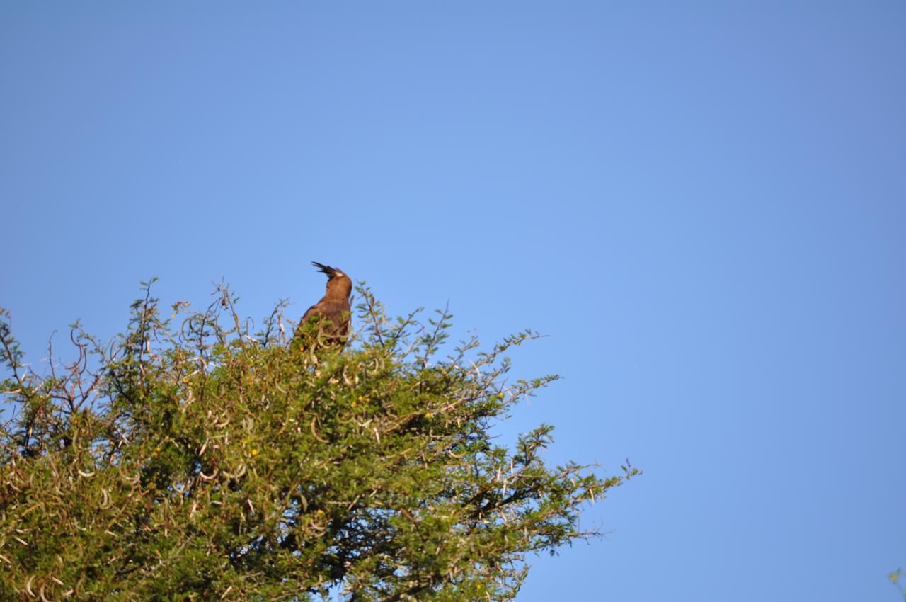 Hopewell Private Game Reserve Buyskloof エクステリア 写真